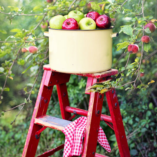 Apple picking
