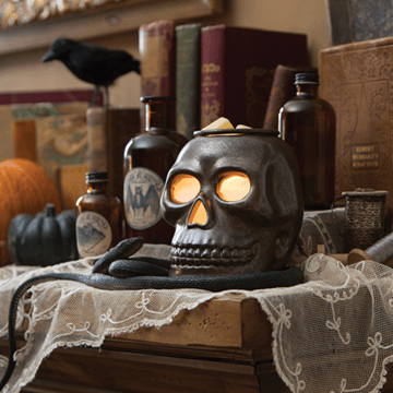 Skeleton wax warmer